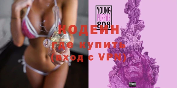 apvp Надым
