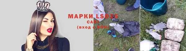apvp Надым