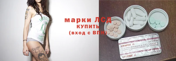 apvp Надым